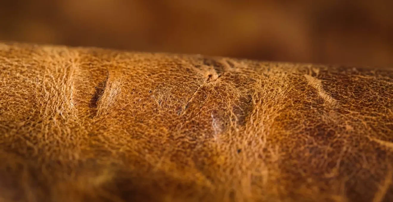 Gros plan d'une surface en cuir pleine fleur tannage végétal avec une patine caramel naturelle développée au fil des années