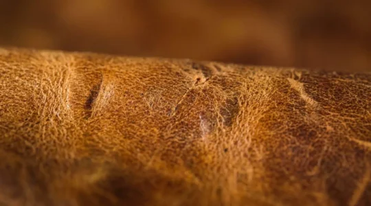 Gros plan d'une surface en cuir pleine fleur tannage végétal avec une patine caramel naturelle développée au fil des années